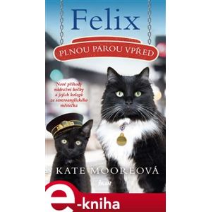 Felix, plnou parou vpřed - Kate Mooreová e-kniha