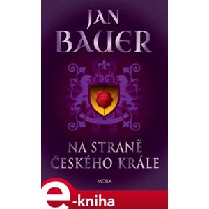 Na straně českého krále - Jan Bauer e-kniha
