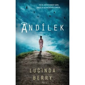 Andílek - Lucinda Berry