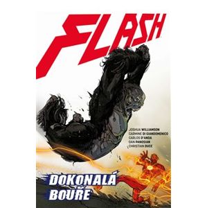 Flash 7: Dokonalá bouře. Znovuzrození hrdinů DC - Joshua Williamson, Christian Duce, Carlos D&apos;anda