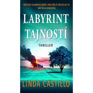 Labyrint tajností - Linda Castillo