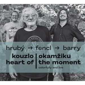 Kouzlo okamžiku / Heart of the Moment. Colorfully and Live - Sean Barry, Jan Hrubý, Ondřej Fencl