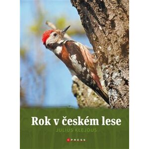 Rok v českém lese - Julius Klejdus