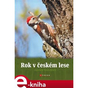 Rok v českém lese - kolektiv e-kniha