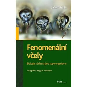 Fenomenální včely. Biologie včelstva jako superorganizmu - Jürgen Tautz
