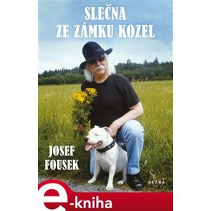 Slečna ze zámku Kozel - Josef Fousek e-kniha
