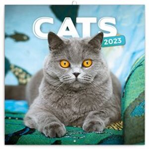 Poznámkový kalendář Kočky 2023