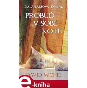 Dalajlamova kočka - Probuď v sobě kotě - David Michie e-kniha