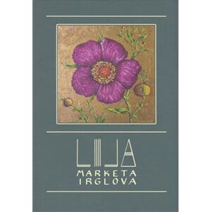 Lila - CD+kniha - Markéta Irglová