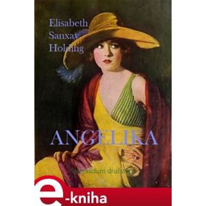 Angelika - Elisabeth Sanxay Holding e-kniha