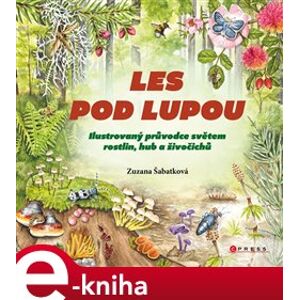 Les pod lupou. Ilustrovaný průvodce světem rostlin, hub a živočichů - Zuzana Šabatková e-kniha