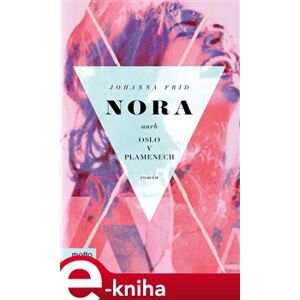 Nora aneb Oslo v plamenech - Johanna Frid e-kniha