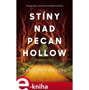 Stíny nad Pecan Hollow - Caroline Frostová e-kniha