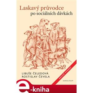 Laskavý průvodce po sociálních dávkách - Rostislav Čevela, Libuše Čeledová e-kniha