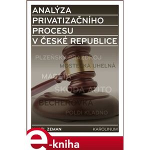 Analýza privatizačního procesu v České republice - Karel Zeman e-kniha
