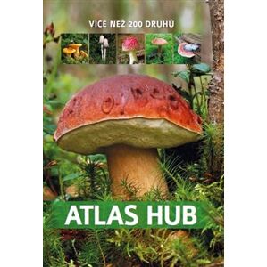 Atlas hub - Patrycja Zarawska