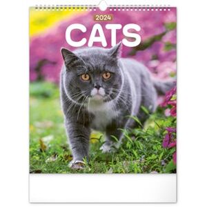 Nástěnný kalendář Kočky 2024