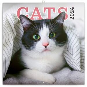 Poznámkový kalendář Kočky 2024