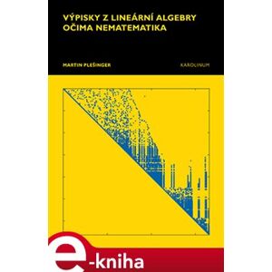 Výpisky z lineární algebry očima nematematika - Martin Plešinger e-kniha