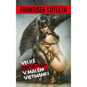 Velké problémy v malém Vietnamu - František Kotleta