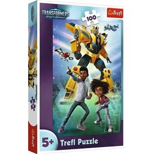 Puzzle - Transformers