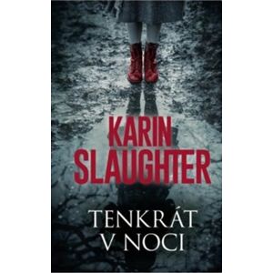 Tenkrát v noci - Karin Slaughter