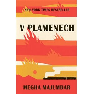 V plamenech - Megha Majumdar