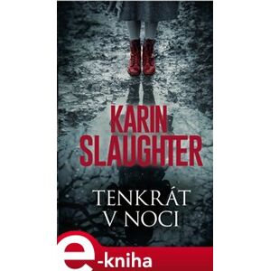 Tenkrát v noci - Karin Slaughter e-kniha