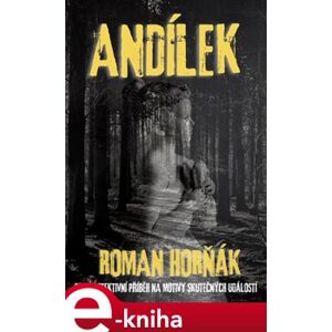Andílek - Roman Horňák e-kniha