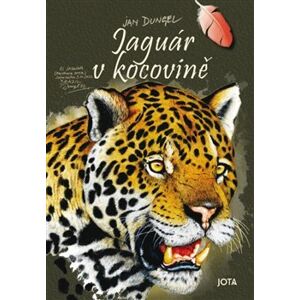 Jaguár v kocovině - Jan Dungel