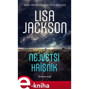 Největší hříšník - Lisa Jackson e-kniha
